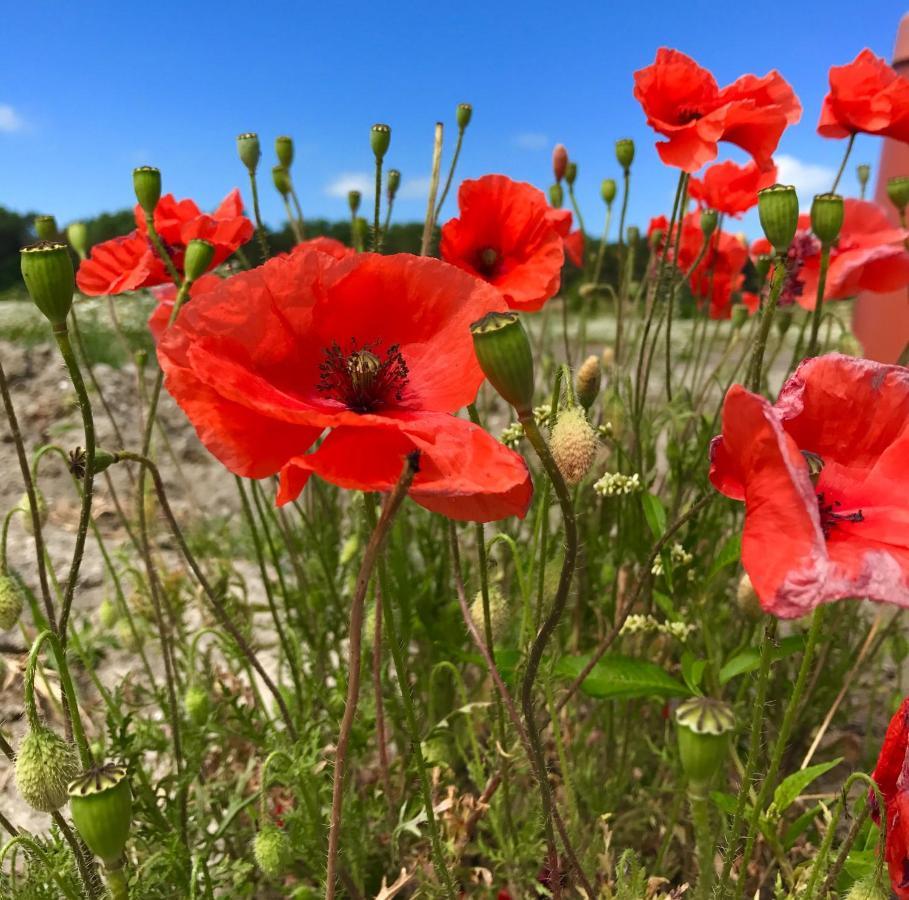 Vakantiewoning De Klaproos Bojil Exteriér fotografie